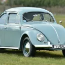 Beetle Mania
