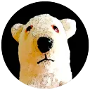 Sam Bear Says
