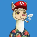 Awesome Alpacas