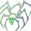 The Spiders Web