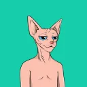 Sphynxes Like Warm Places