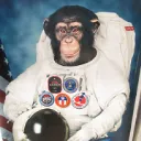 BIG APE CLUB