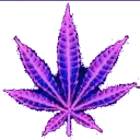 𝑩𝒖𝒅 𝑺𝒎𝒐𝒌𝒆𝒓'𝒔 𝑯𝒂𝒗�... Discord Server Icon