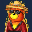 Bear Universe
