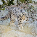 Endless Army Server Icon