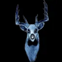 Phantom Deers NFT