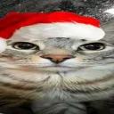 Поддержка Сэнко — мониторинг Discord сервера, статистика и рейтинг