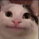 Begula & heckers server - Discord Server