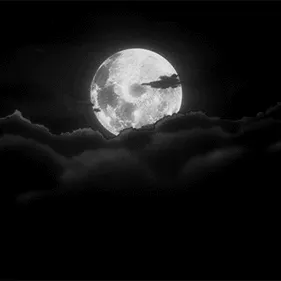 MoonRise — мониторинг Discord сервера, статистика и рейтинг