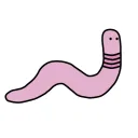 crypto worms COMMUNITY
