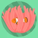 Beginners Reef