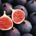 FiG WarThunder