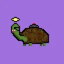 Tyrant Tortoises Lab
