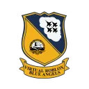 Virtual Roblox Blue Angels Discord Server Icon