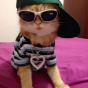 Babyspiice