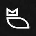 OWL TEAM