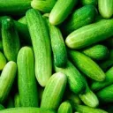 Cucumber Squad