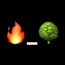 Wildfire 🔥_🌳