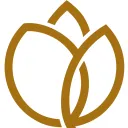 Tulips for Humanity