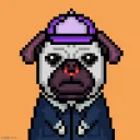 PUGGING AWESOME PUGS