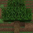 Bushcraft discord
