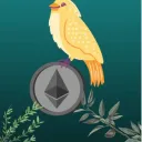 Crypto Forest Birds