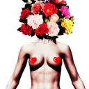 House Of Petals