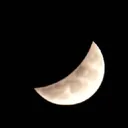 Moonman's Inner Cirlce