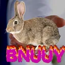 Bunny Town