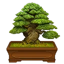 [BIT BONSAI]
