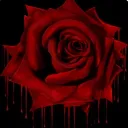 The Rose Garden