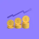 Online Entrepreneurs