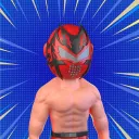Lucha Masks