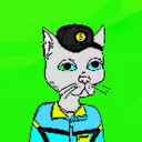 𝐓𝐨𝐫𝐭𝐢𝐂𝐚𝐭𝐬 𝐒𝐨𝐥𝐚𝐧𝐚