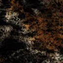(re)Generative Tiger NFTs