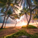 Chill Paradise
