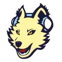 Dog Pound Speedrunning