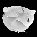 The Peace NFTs Server Icon