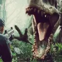 Rextagger jungle