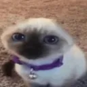 Acre’s Acres Discord Server Icon