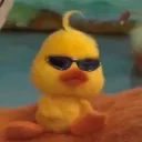 Xander's Duck Army