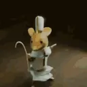 Mouse House