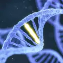 CRISPR Investors
