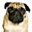 Pug_Me