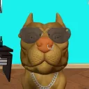 MyCATsDigital
