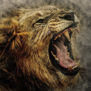 Discovery icon for LIODEN HQ Discord server