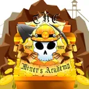 The Miners Academy