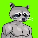 Meta Raccoon Club