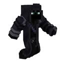 ER SHADOW icon