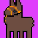 CryptoDonkeys